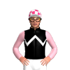 Jockey Silk