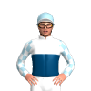 Jockey Silk