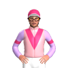Jockey Silk