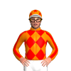 Jockey Silk