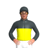 Jockey Silk