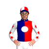 Jockey Silk