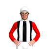Jockey Silk