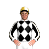 Jockey Silk