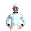 Jockey Silk
