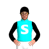 Jockey Silk