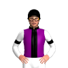 Jockey Silk