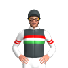 Jockey Silk