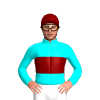 Jockey Silk