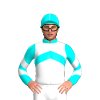 Jockey Silk