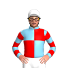 Jockey Silk