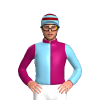 Jockey Silk