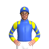 Jockey Silk