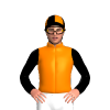 Jockey Silk