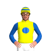 Jockey Silk