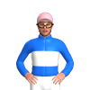 Jockey Silk