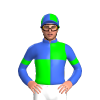 Jockey Silk