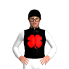 Jockey Silk