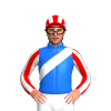 Jockey Silk