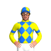 Jockey Silk