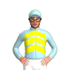Jockey Silk
