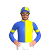 Jockey Silk