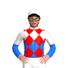 Jockey Silk