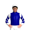 Jockey Silk
