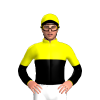 Jockey Silk
