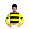 Jockey Silk