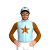 Jockey Silk