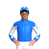 Jockey Silk