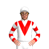 Jockey Silk