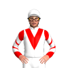 Jockey Silk