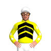 Jockey Silk