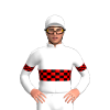 Jockey Silk