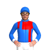 Jockey Silk