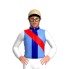 Jockey Silk