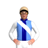 Jockey Silk
