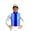 Jockey Silk