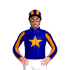 Jockey Silk