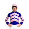 Jockey Silk