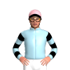 Jockey Silk
