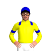 Jockey Silk