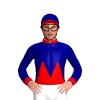 Jockey Silk