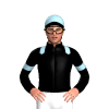 Jockey Silk