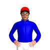 Jockey Silk