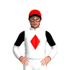 Jockey Silk