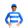 Jockey Silk