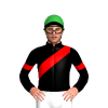 Jockey Silk